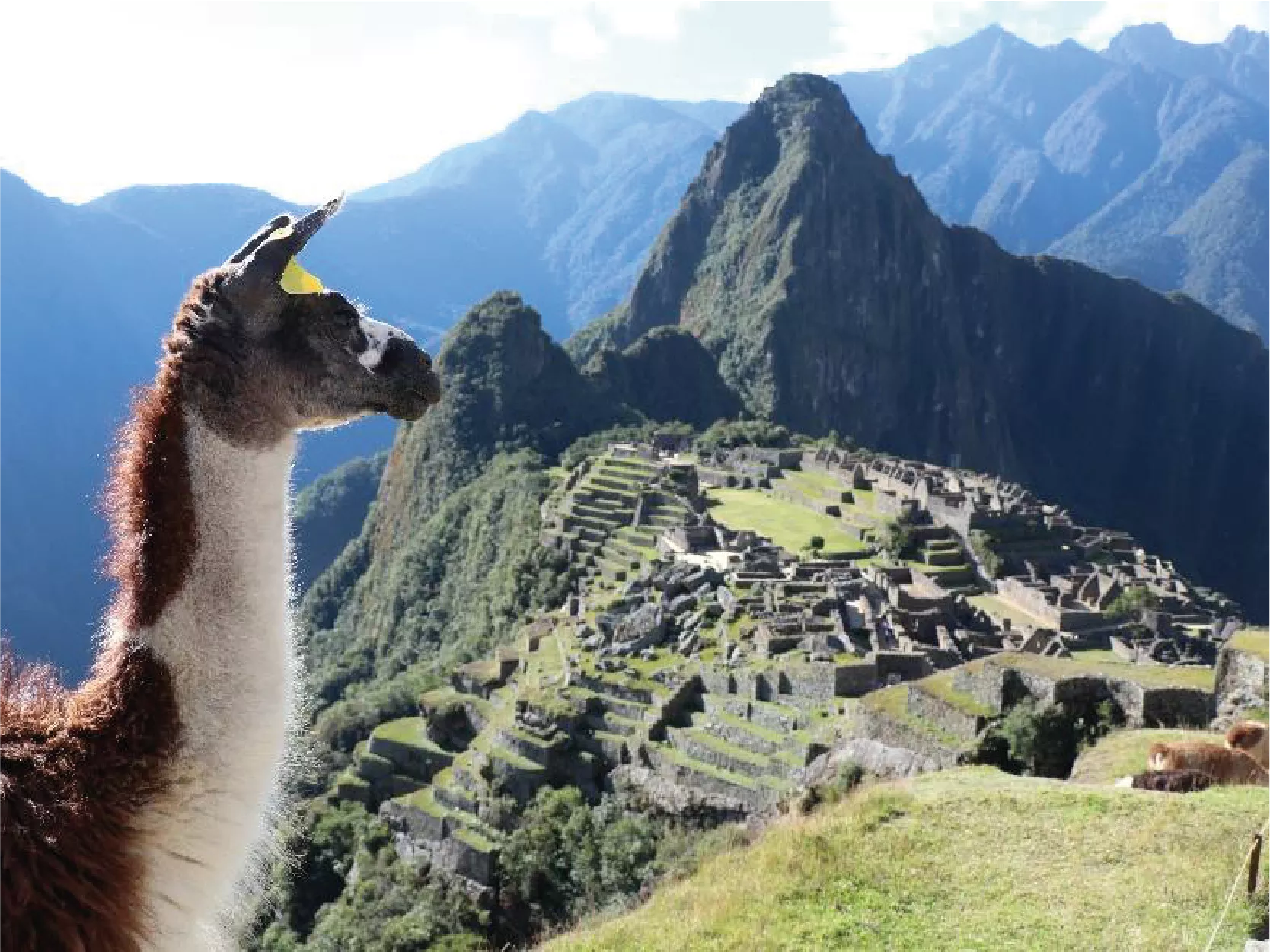 Imagenes Machupicchu-29