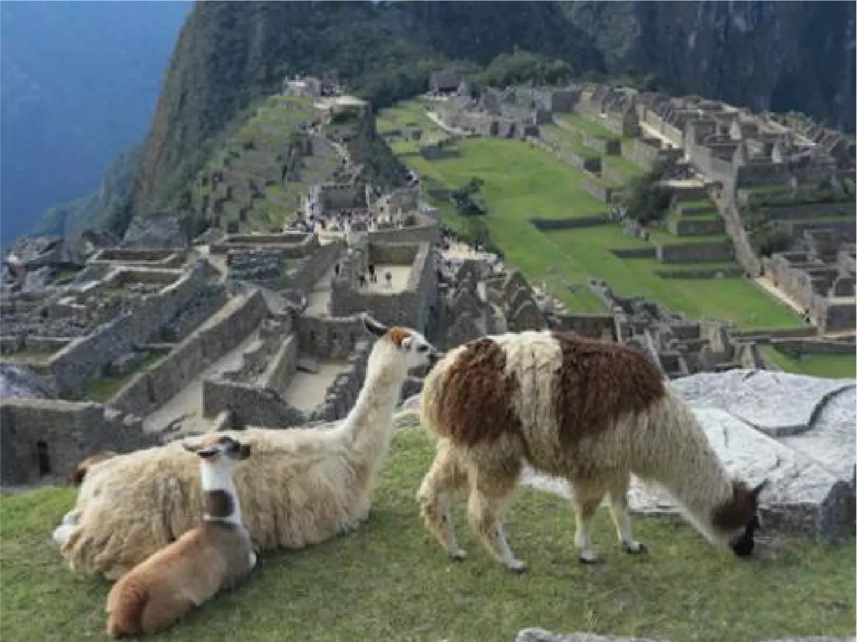 Imagenes Machupicchu-89